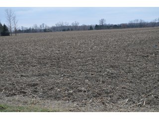 Property photo 63 - 175 Acres Offered in 5 Tracts - Tontogany, Ohio Farm Land Auction